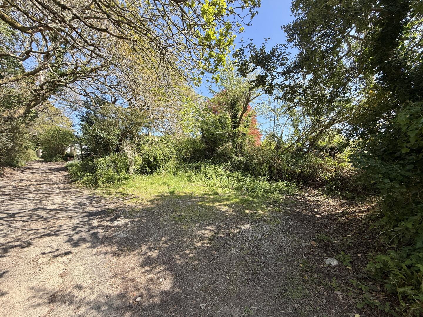 Old Carnon Hill, Carnon Downs, Truro